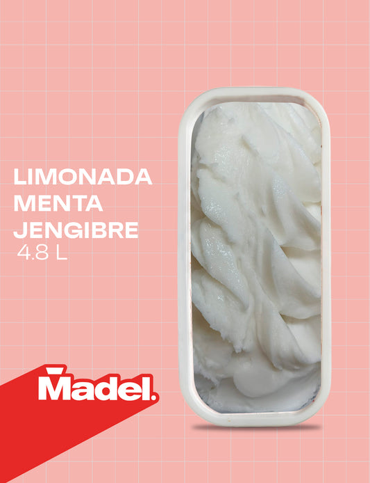 Bacha Limonada Jengibre [4.8L]